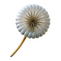 distinctive organic Single dandelion seed head, ready to disperse. NO BACKGROUND with Transparent Background. artisan png