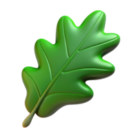 alluring celebrated Single oak leaf, green. NO BACKGROUND with Transparent Background. png