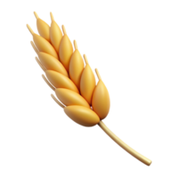 distinguished mid-century Wheat stalk, single, with grains. NO BACKGROUND with Transparent Background. original png