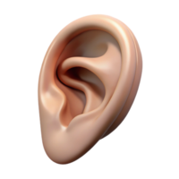 dramatic bohemian A realistic rendering of a single human ear with pointed tip, NO BACKGROUND with Transparent Background. elite png