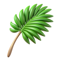 dynamic elegant Palm leaf NO BACKGROUND with Transparent Background. studio quality png