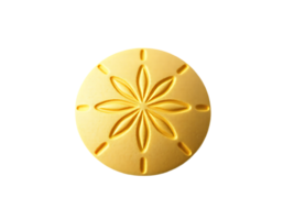 Closeup of a golden sand dollar with intricate floral patterns png