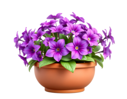 Beautiful purple flowers in a ceramic pot png