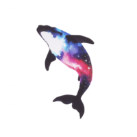 A beautifully designed whale silhouette filled with intricate galaxy patterns, symbolizing the vastness and mystery of the universe. png