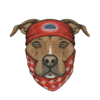 A detailed illustration of a dog's face wearing a red bandana with stars and a patriotic theme, set against a transparent background for versatile applications. png