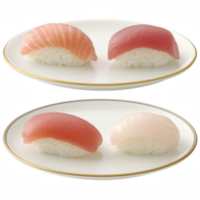 A dish with assorted sushi featuring salmon and tuna on perfectly shaped rice. A traditional Japanese culinary delight served on elegant plates. png