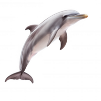 A majestic dolphin leaping gracefully above the water, showcasing its elegance and playful nature. An embodiment of marine life beauty, perfect for wildlife-themed projects. png