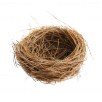 A natural bird's nest made of twigs and grass, showcasing organic textures and colors, isolated on a white background. Perfect for nature-themed projects and illustrations. png