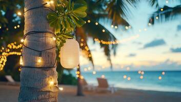A palm tree with lights on it and a beach photo