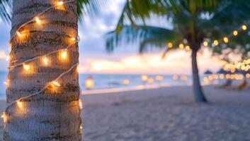 A palm tree with lights on it at the beach photo