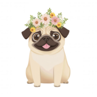 Cheerful pug dog wearing a flower crown, sitting happily. Perfect for springtime themes and pet-related projects. png