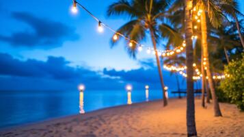 A beach with palm trees and lights photo