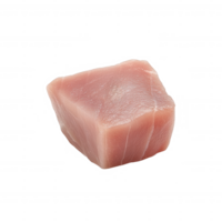 Fresh piece of raw tuna meat, ideal for sushi or sashimi, with a smooth texture and pale pink color, isolated on a white background for culinary purposes. png