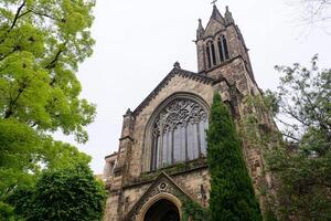 A large tree in front of the church photo