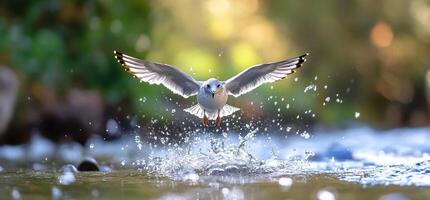 A bird taking flight from water, creating splashes in a serene setting. photo