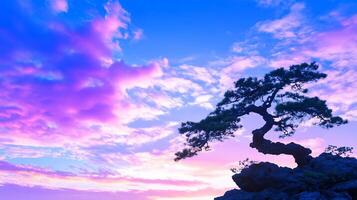 A serene silhouette of a tree against a colorful sunset sky. photo