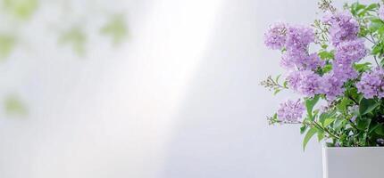 A serene arrangement of lilac flowers in a minimalist setting. photo