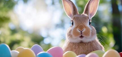 A rabbit is sitting in front of a pile of colorful eggs photo