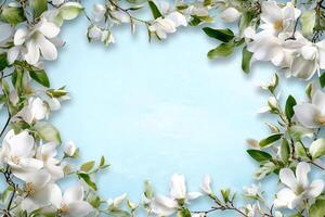 A decorative border of white flowers on a soft blue background. photo