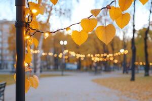 Autumn park scene with illuminated leaves and string lights. photo