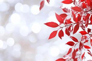Red leaves on a tree branch with a bright background photo