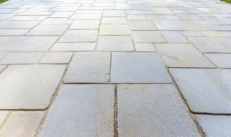 A close-up view of a paved stone pathway with a uniform pattern. photo