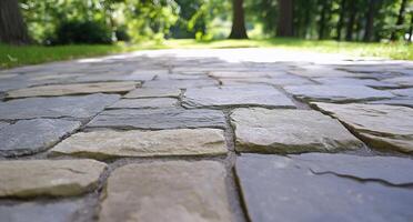 A close-up view of a stone pathway in a serene park setting. photo