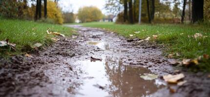 A muddy path with puddles and fallen leaves in a tranquil setting. photo