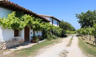 A rustic path leads to a charming vineyard house under a blue sky. photo