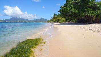 Serene beach scene with clear water, sandy shore, and lush greenery. photo
