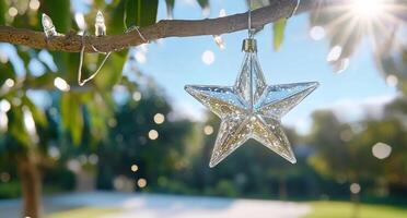 A sparkling star ornament hanging from a tree branch in sunlight. photo