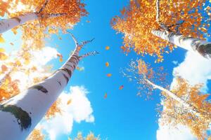 A vibrant autumn scene with birch trees and falling leaves against a blue sky. photo