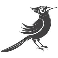 Minimalistic Monochrome Illustration Of A Bird With Crest And Long Tail vector