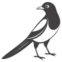 Monochrome Magpie Bird Illustration Isolated On White Background Ideal For Logos vector