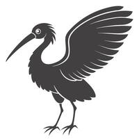 Silhouette Illustration Of Ibis Bird With Open Wings On White Background vector