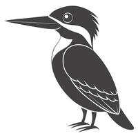Simple Kingfisher Bird Illustration Isolated Against White Background Graphic vector