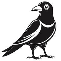 Stylized Black Crow Graphic Design Element On White Background vector
