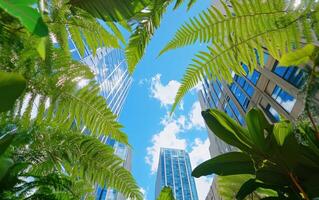 Giant ferns thrive in urban environment beneath a bright blue sky with skyscrapers in the background photo