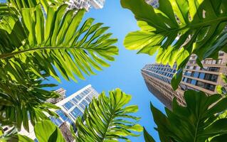 Giant ferns create a lush canopy against a backdrop of urban skyscrapers under a clear blue sky photo