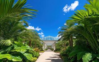 Explore a futuristic botanical garden filled with vibrant greenery under a clear blue sky photo
