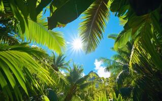 Vibrant sunlight filters through the dense canopy of a lush tropical jungle filled with vibrant green foliage photo