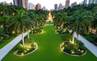 High-resolution aerial view of a lush park lined with palm trees and illuminated paths in an urban setting during twilight photo