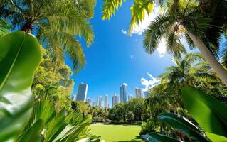 Lush urban park showcasing vibrant greenery against a backdrop of towering city skyscrapers and a clear blue sky photo