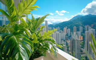 Cinematic view of towering ferns contrasting with city skyline and mountains in bright sunlight photo