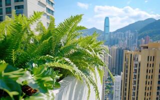 Towering ferns thrive in an urban jungle overlooking city skyline and mountains under bright blue sky photo