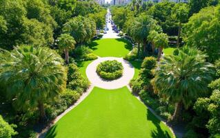 Aerial view of a lush green park with palm trees and pathways in a vibrant urban landscape photo