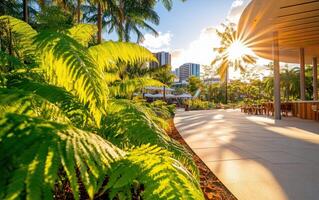 Giant ferns thriving in a sunlit urban garden near modern skyscrapers photo