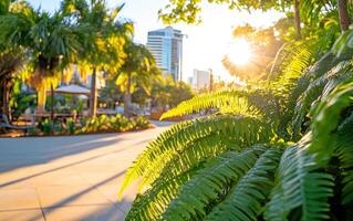 Giant ferns thrive in vibrant urban landscape during golden hour with towering buildings in the background photo