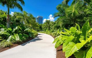 Lush prehistoric plants line a sandy path in an urban tropical setting under clear blue skies photo