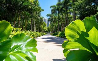 Lush pathway lined with prehistoric ginkgo-like leaves and tropical plants in an urban environment during bright sunlight photo